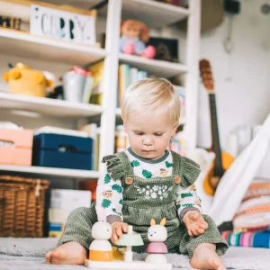 Online AAA Certified Forest Stacker Wooden Puzzles And Activity Toys | Traditional Wooden Toys