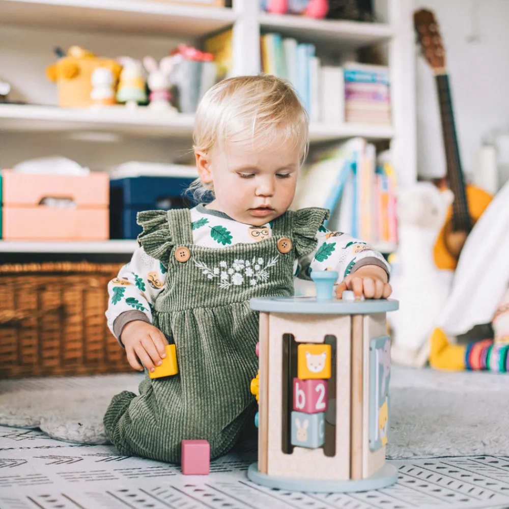 aaa_certified_rolling_act_12.webp Discount AAA Certified Rolling Activity Sorter Shape Sorter Toys | Activity Toys & Games