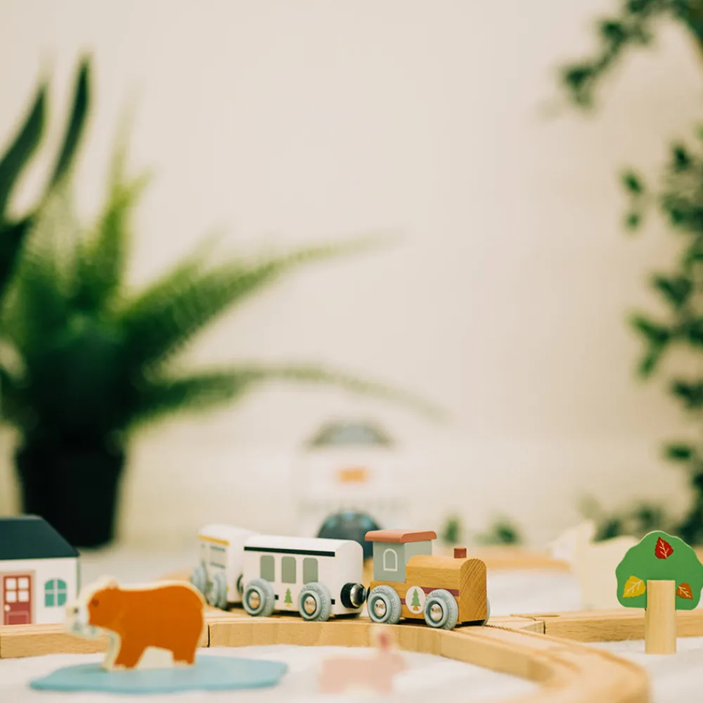aaa_certified_train_set_w_4.webp Outlet AAA Certified Train Set (Woodland Animal) Toys For 4 Year Olds