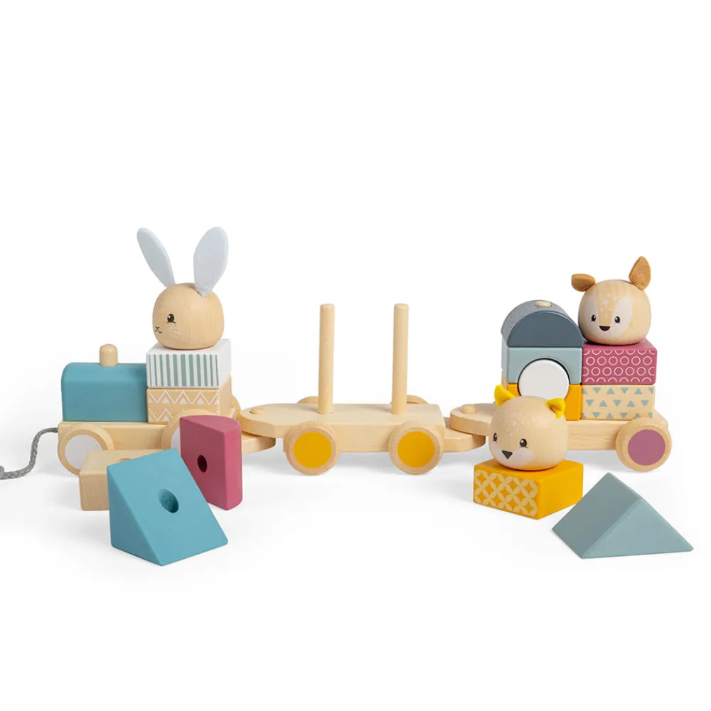 activity_pull_along_train_0.webp Best Activity Pull Along Train Wooden Push And Pull Along Toys