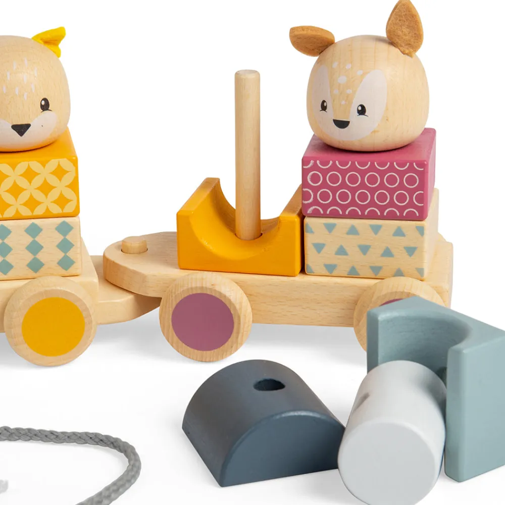 activity_pull_along_train_10.webp Best Activity Pull Along Train Wooden Push And Pull Along Toys