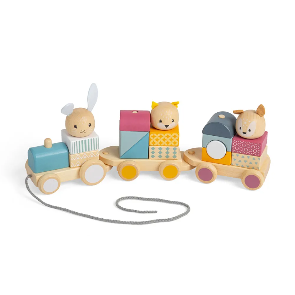 activity_pull_along_train_11.webp Best Activity Pull Along Train Wooden Push And Pull Along Toys