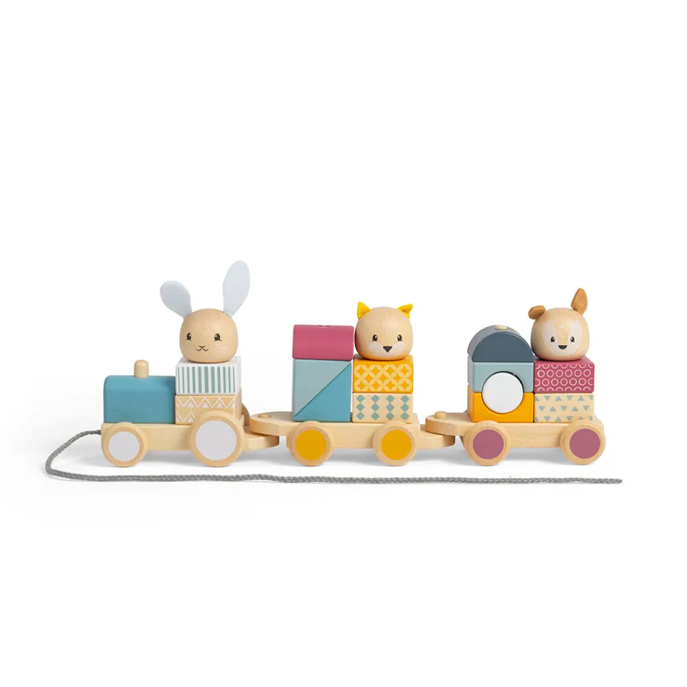 activity_pull_along_train_12.webp Best Activity Pull Along Train Wooden Push And Pull Along Toys