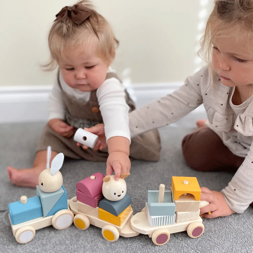 activity_pull_along_train_2.webp Best Activity Pull Along Train Wooden Push And Pull Along Toys