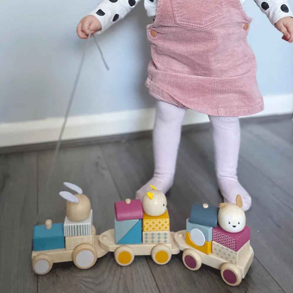 activity_pull_along_train_3.webp Best Activity Pull Along Train Wooden Push And Pull Along Toys