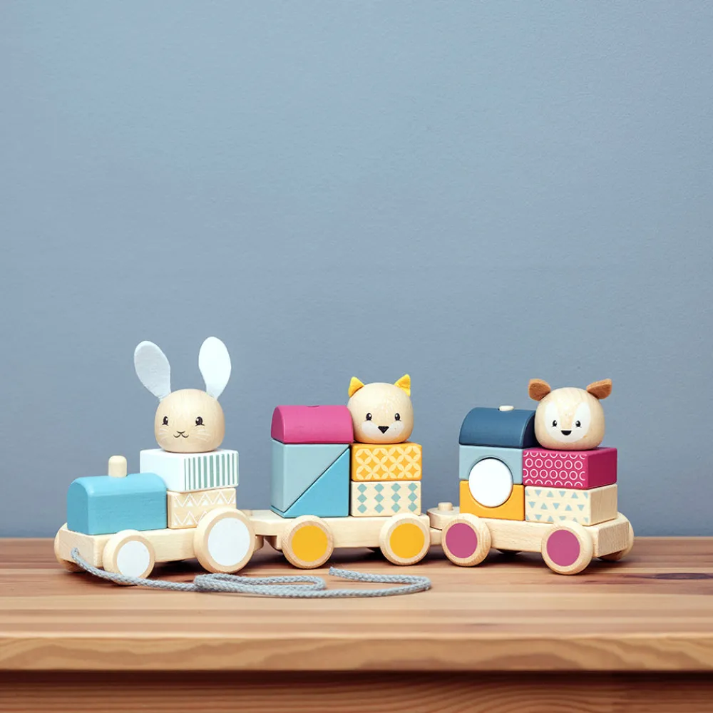 activity_pull_along_train_4.webp Best Activity Pull Along Train Wooden Push And Pull Along Toys