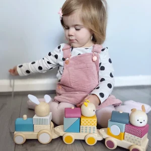 Best Activity Pull Along Train Wooden Push And Pull Along Toys
