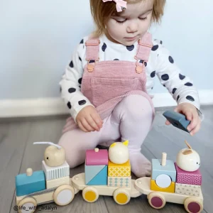 Best Activity Pull Along Train Wooden Push And Pull Along Toys