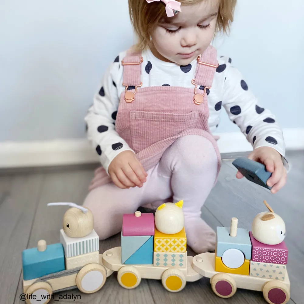 activity_pull_along_train_6.webp Best Activity Pull Along Train Wooden Push And Pull Along Toys