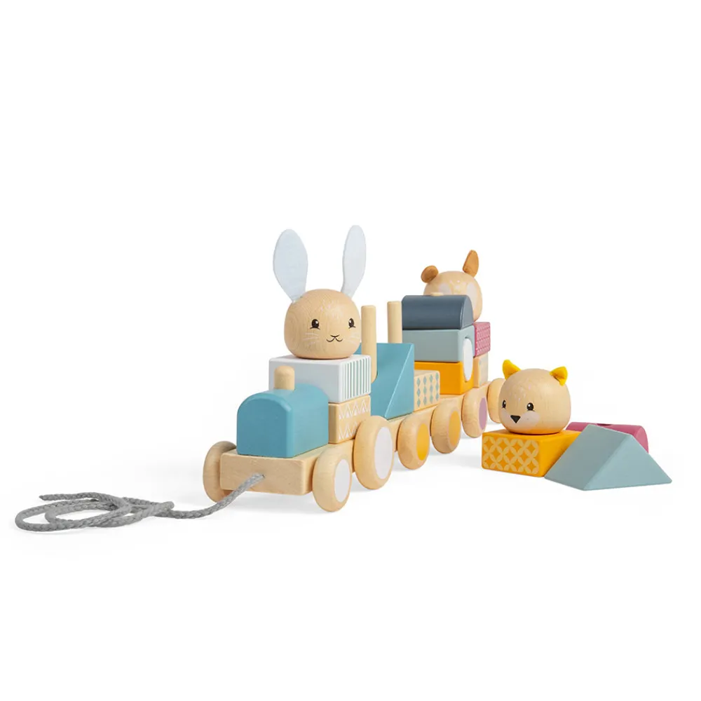 activity_pull_along_train_8.webp Best Activity Pull Along Train Wooden Push And Pull Along Toys