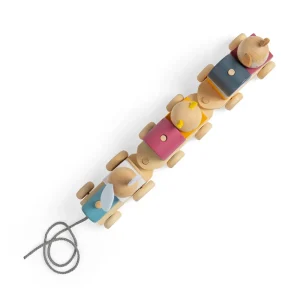 Best Activity Pull Along Train Wooden Push And Pull Along Toys