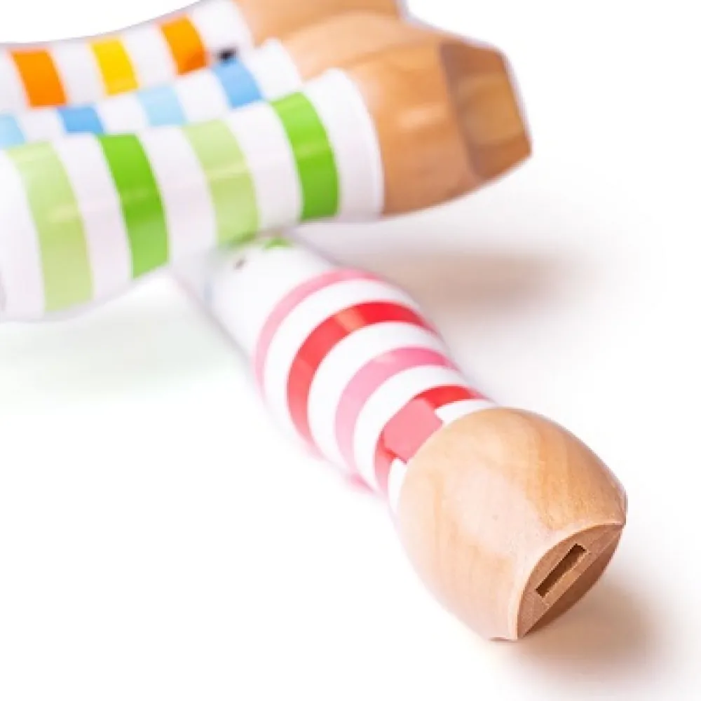 bigjigs_colourful_wooden__2.webp Online Bigjigs Colourful Wooden Kids Recorder Gifts For 5 Yr Olds | Toys For 4 Year Olds