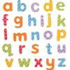 Hot Bigjigs Lowercase Magnetic Letters Kids Kids Learning Numbers And Letter