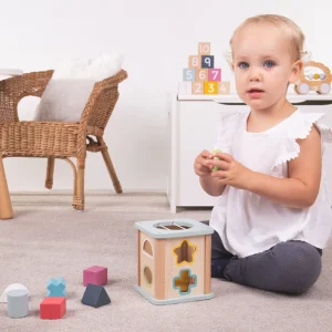 Sale Bigjigs Shape Sorter Wooden Puzzles And Activity Toys | Montessori Toys