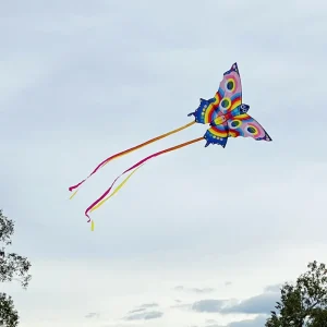 Sale Butterfly Kite Kids Arts And Crafts Sets For Kids