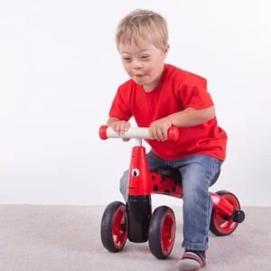 Fashion Diditrike – Ladybird Ride On Cars