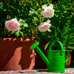 Clearance Green Watering Can Outdoor Garden Toys