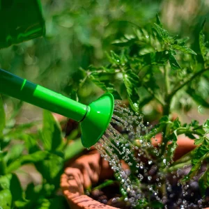Clearance Green Watering Can Outdoor Garden Toys