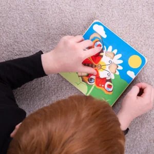Fashion Lifecycle Layer Puzzle – Butterfly Wooden Puzzles And Activity Toys | Children's Wooden Puzzles
