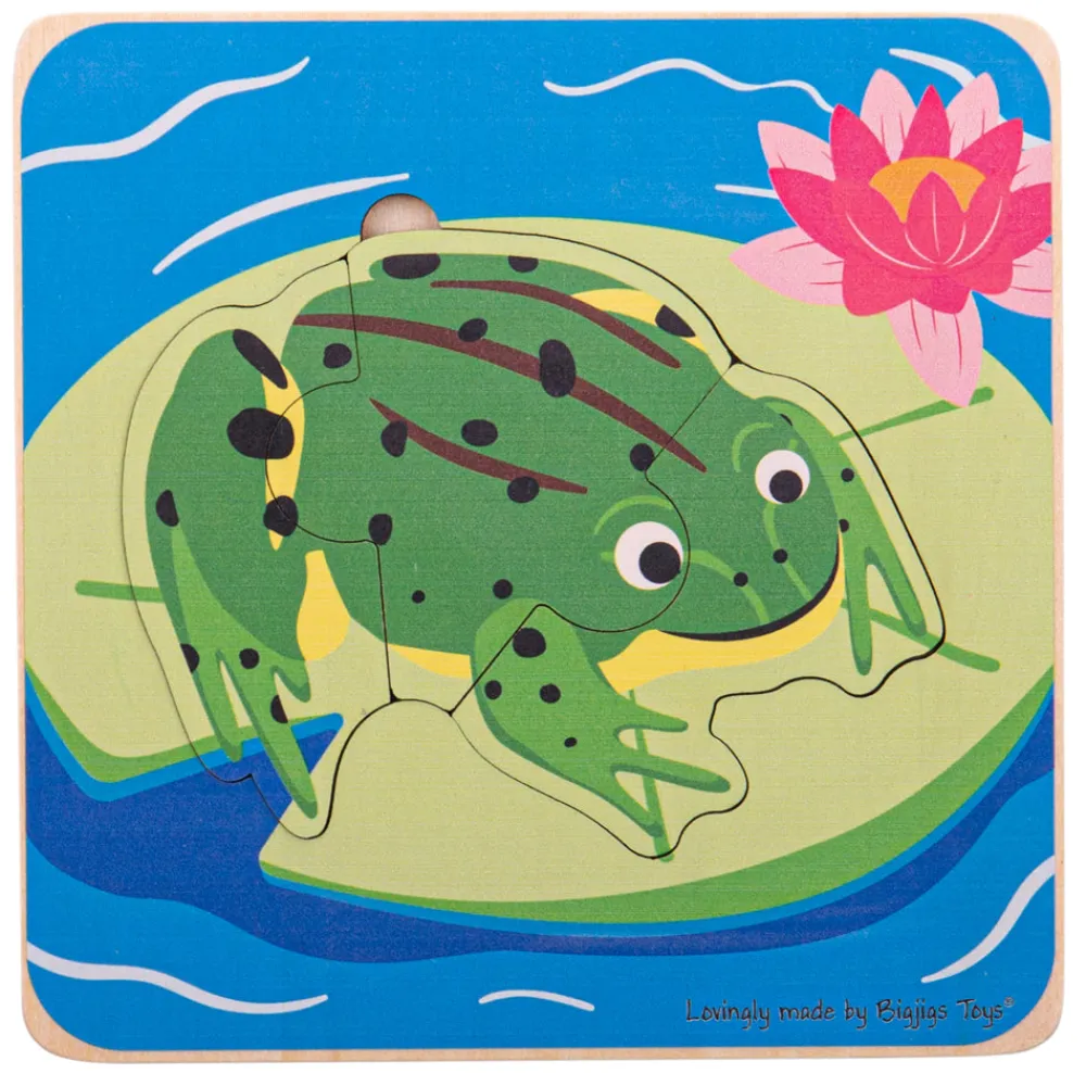 lifecycle_layer_puzzle__f_0.webp Outlet Lifecycle Layer Puzzle – Frog Wooden Puzzles And Activity Toys | Children's Wooden Puzzles