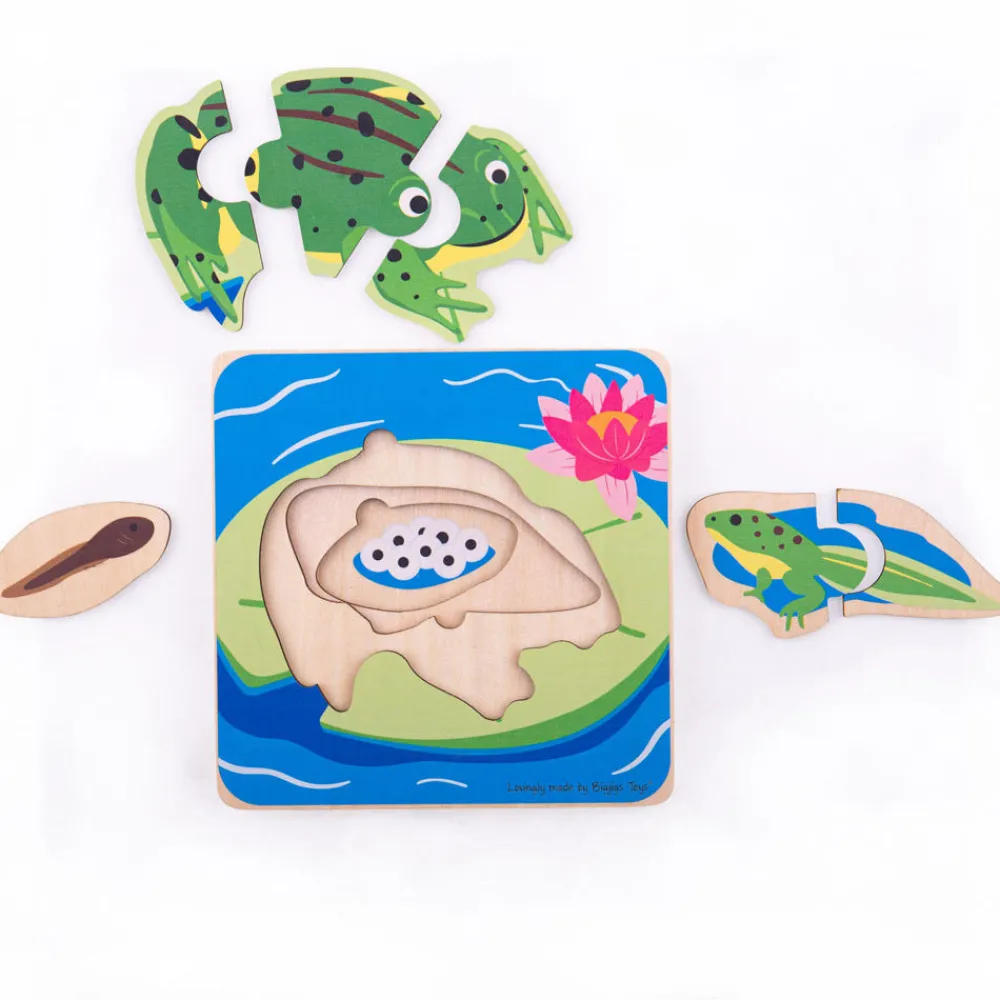 lifecycle_layer_puzzle__f_1.webp Outlet Lifecycle Layer Puzzle – Frog Wooden Puzzles And Activity Toys | Children's Wooden Puzzles