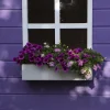 Sale additional Window Panel Kid’s Playhouses & Tents
