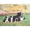 Sale Mother’s Pride – 1000 Piece Jigsaw Puzzle Children's Wooden Puzzles