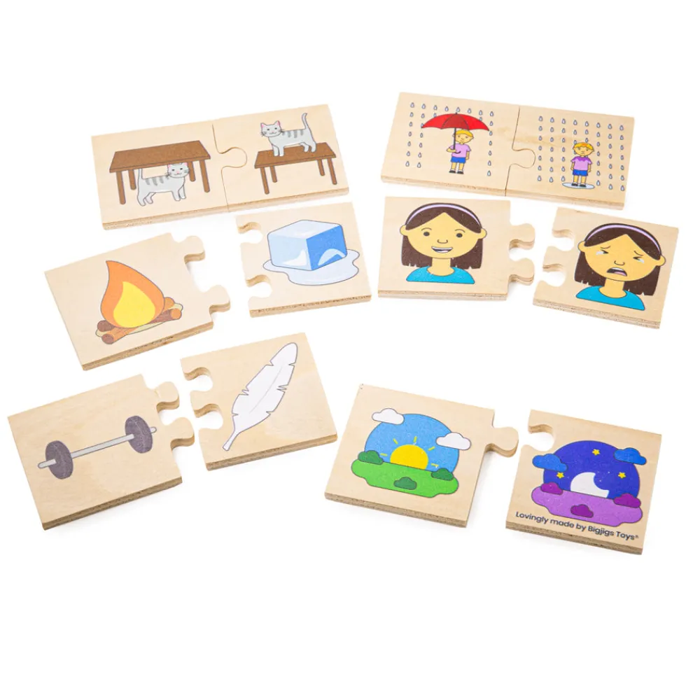 opposites_0.webp Hot Opposites Wooden Puzzles And Activity Toys | Activity Toys & Games