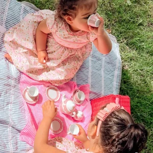 Sale Picnic Tea Set Pretend Play Kitchens
