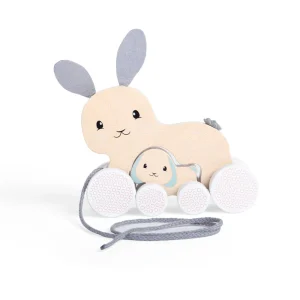 Sale Pull Along Bunny and Baby Wooden Push And Pull Along Toys