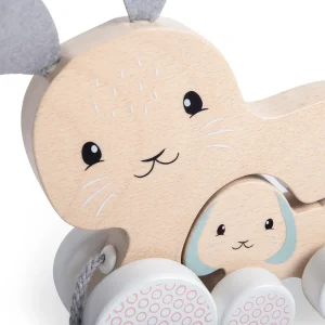 Sale Pull Along Bunny and Baby Wooden Push And Pull Along Toys