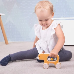 Fashion Push Along Bear Wooden Push And Pull Along Toys