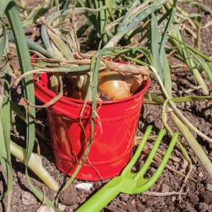 Sale Red Bucket Outdoor Garden Toys