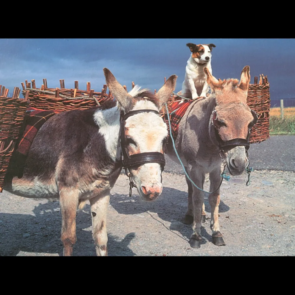 road_to_connemara___piece_0.webp Hot Road to Connemara – 500 Piece Jigsaw Puzzle Children's Wooden Puzzles