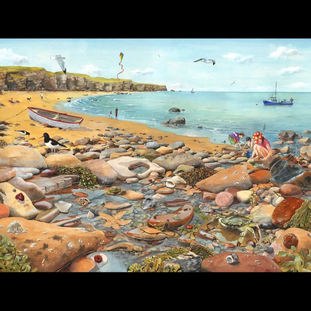 rock_pool__big__piece_jig_0.webp Hot Rock Pool – BIG 500 Piece Jigsaw Puzzle Children's Wooden Puzzles